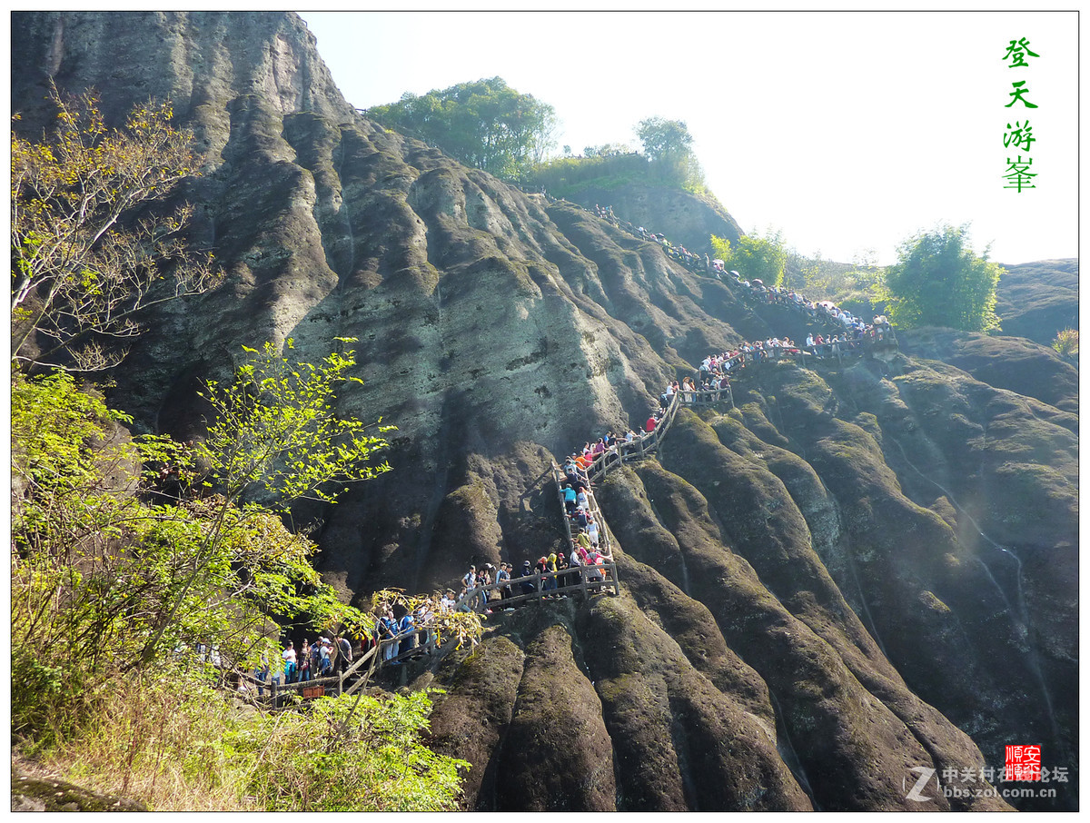 家乡的风景------武夷山及九曲风光