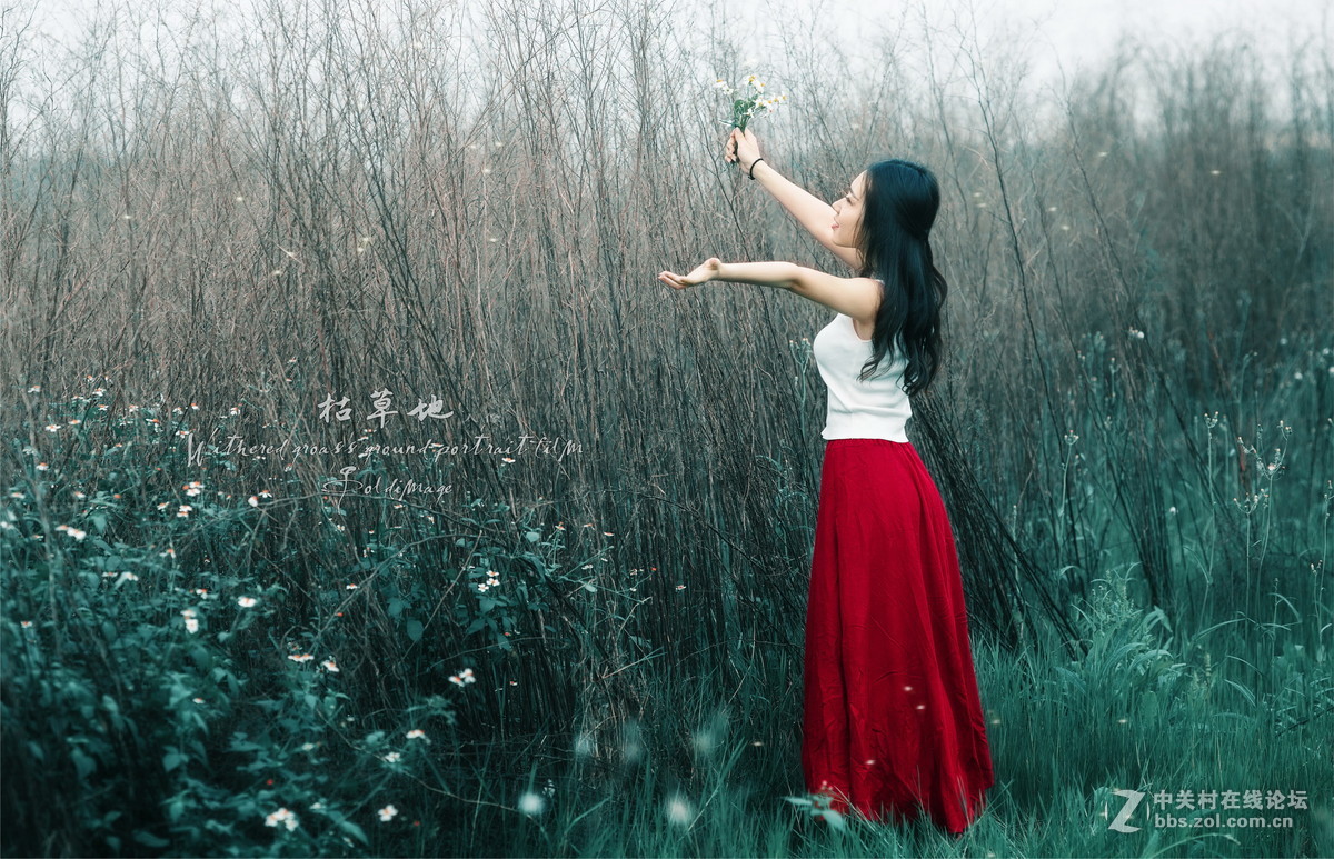 卡尔·蔡司Planar T* 135mm f/2 ZE {枯草地...人像}