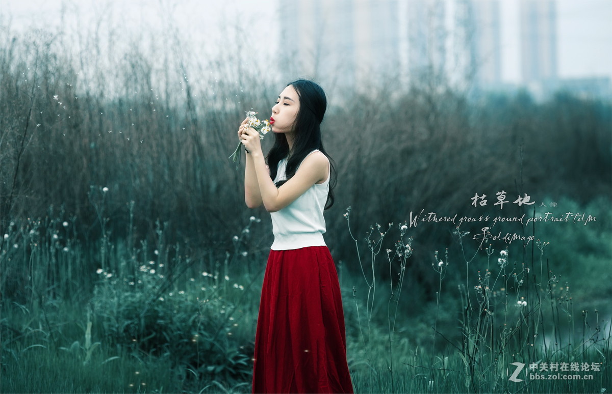 卡尔·蔡司Planar T* 135mm f/2 ZE {枯草地...人像}