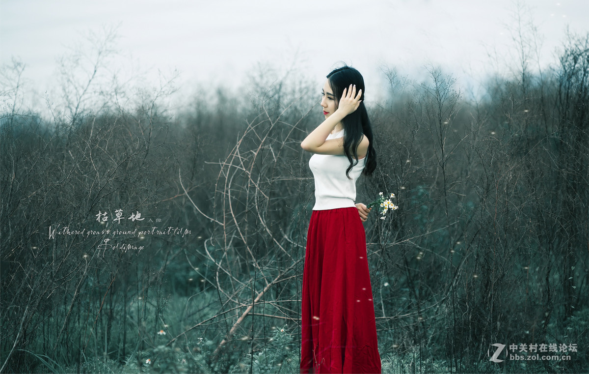 卡尔·蔡司Planar T* 135mm f/2 ZE {枯草地...人像}