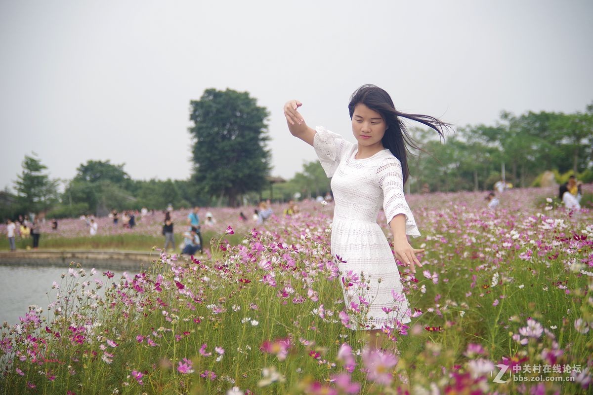 泡在波斯菊花里的姑娘
