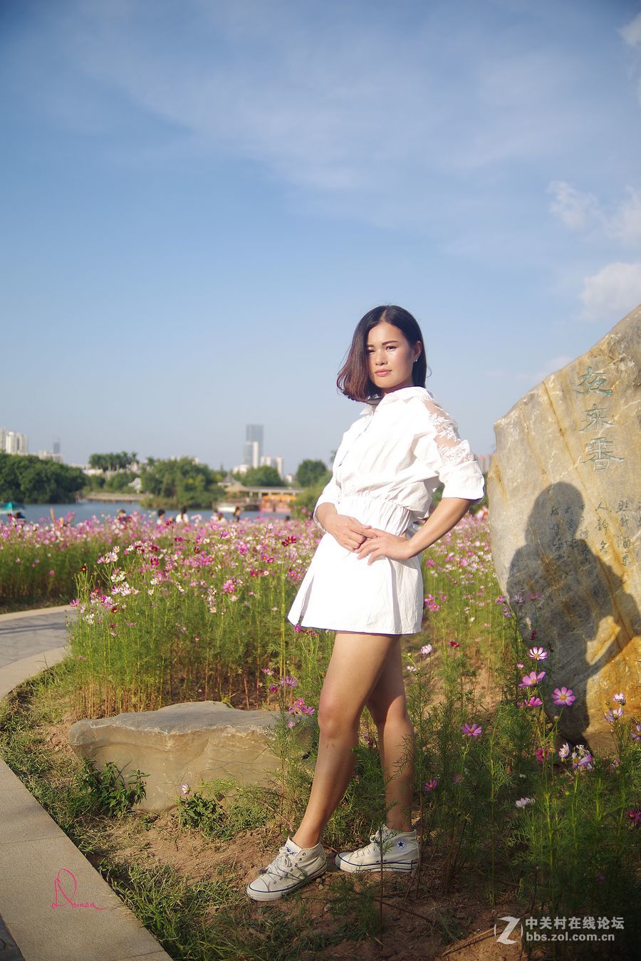 泡在波斯菊花里的姑娘