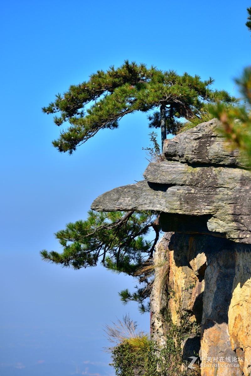 登庐山赏秋鹰嘴崖