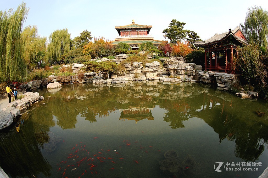 #佳能EOS R我的视角# 秋色拾贝