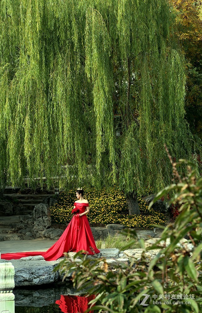 #佳能EOS R我的视角# 秋色拾贝