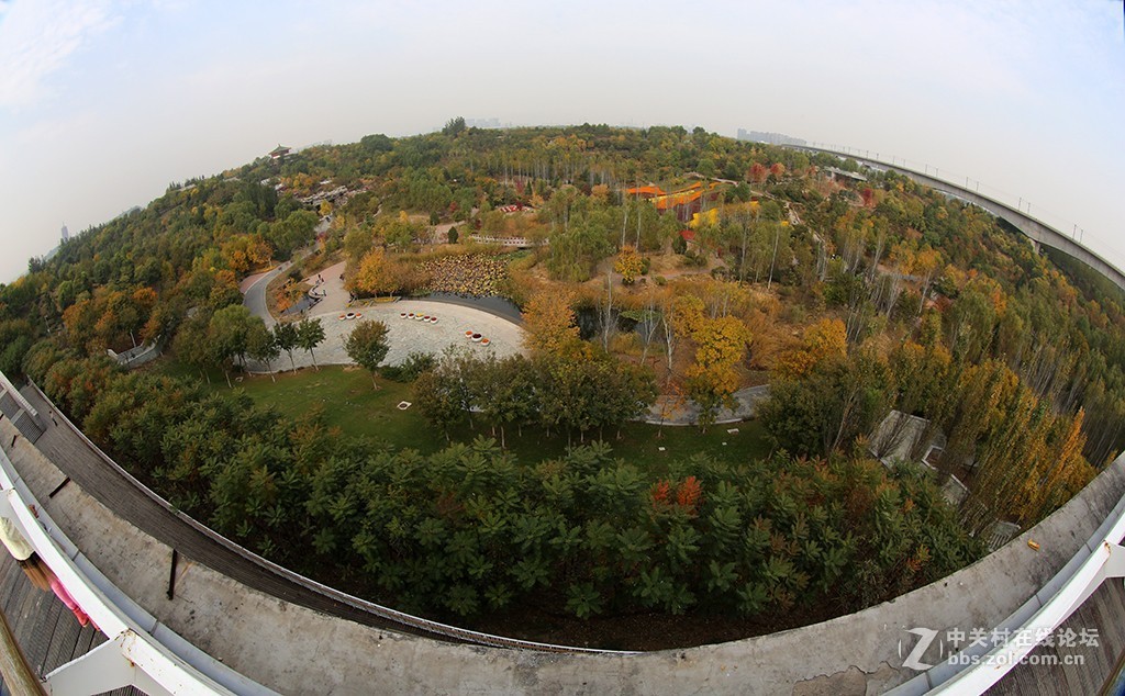 #佳能EOS R我的视角# 秋色拾贝