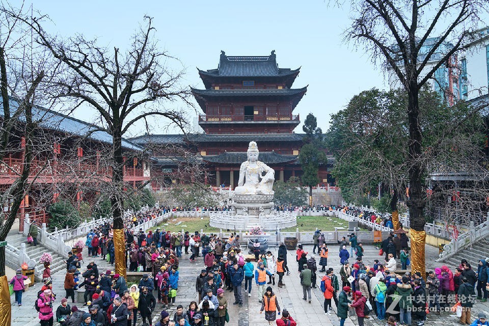 2019毗卢寺腊八节