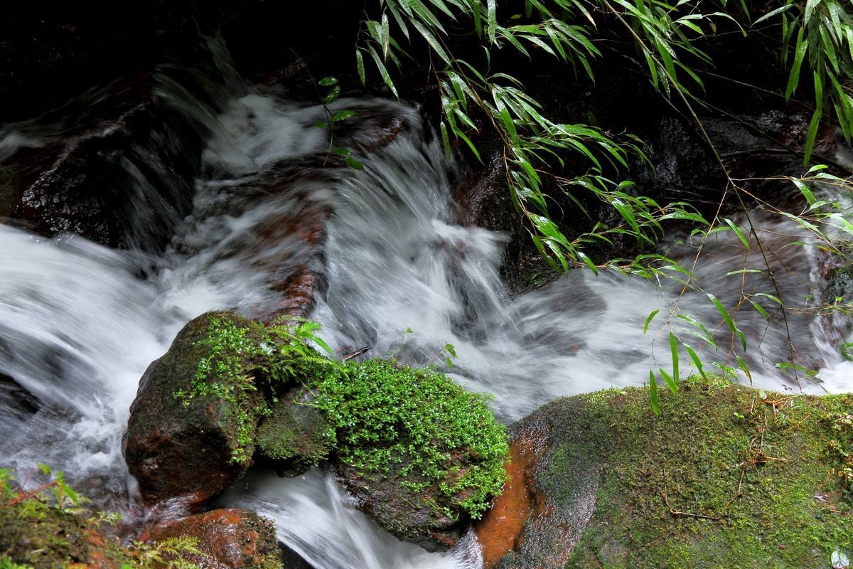 休闲游记—四面山（二）