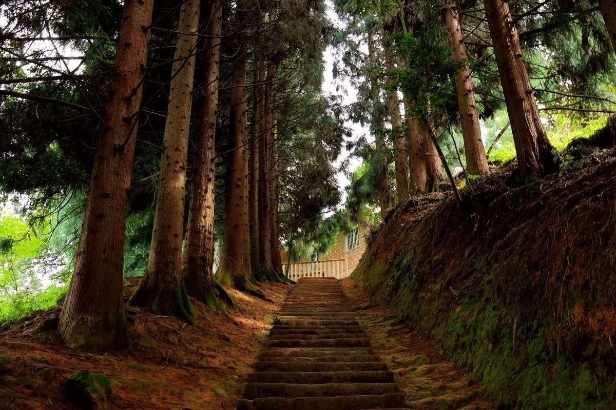 休闲游记—四面山（二）