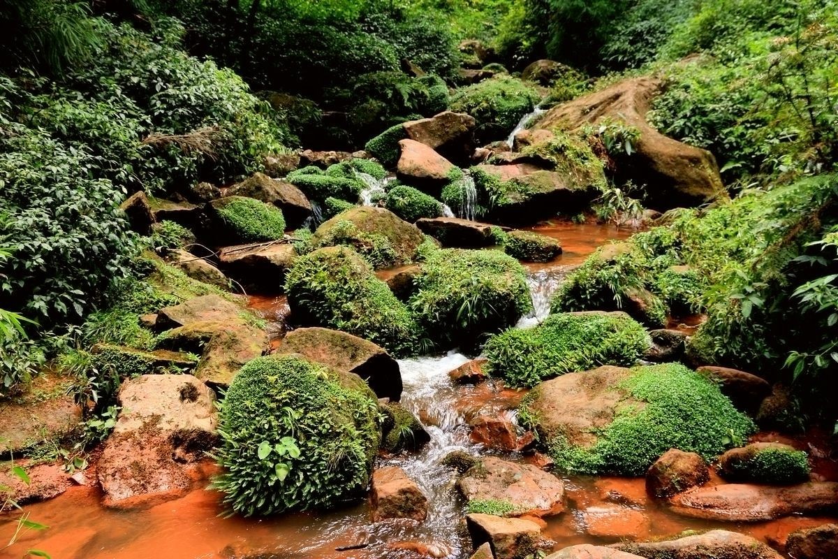 休闲游记—四面山（二）