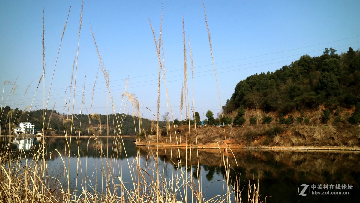 套机过年学习拍了几张