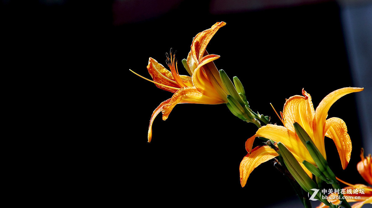 2016年6—7月《红河星空(中国)》优秀作品精选集