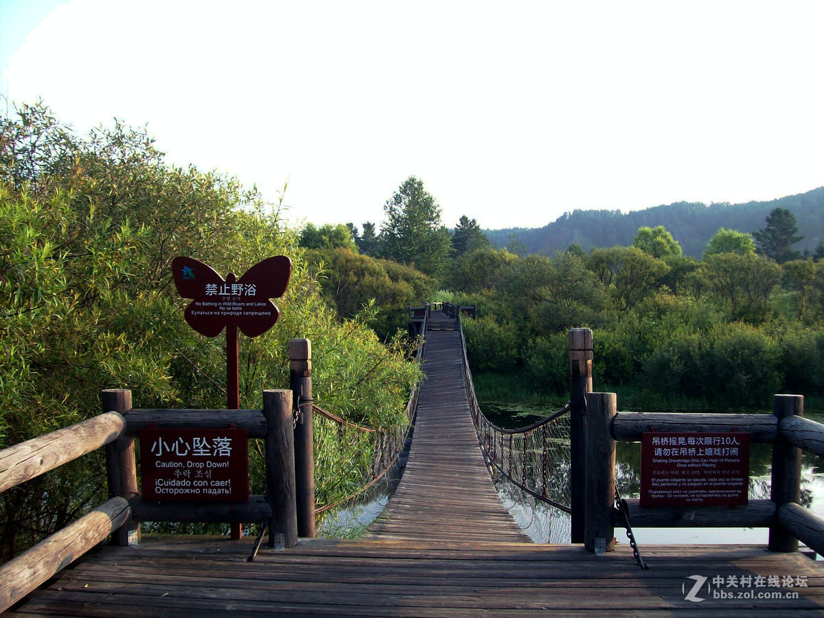 2016夏 长沙到漠河（60）想看北极光