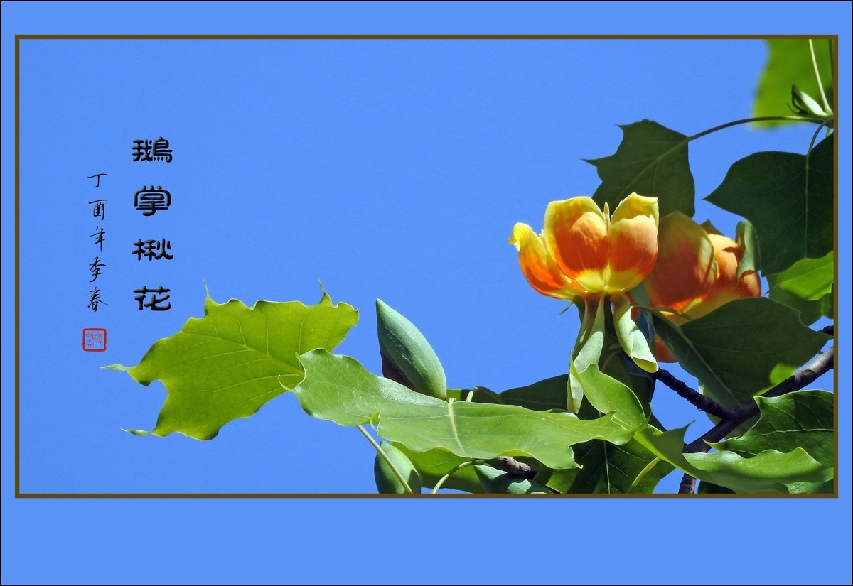 #版主坐堂#2017年4月份《承德》优秀作品选辑