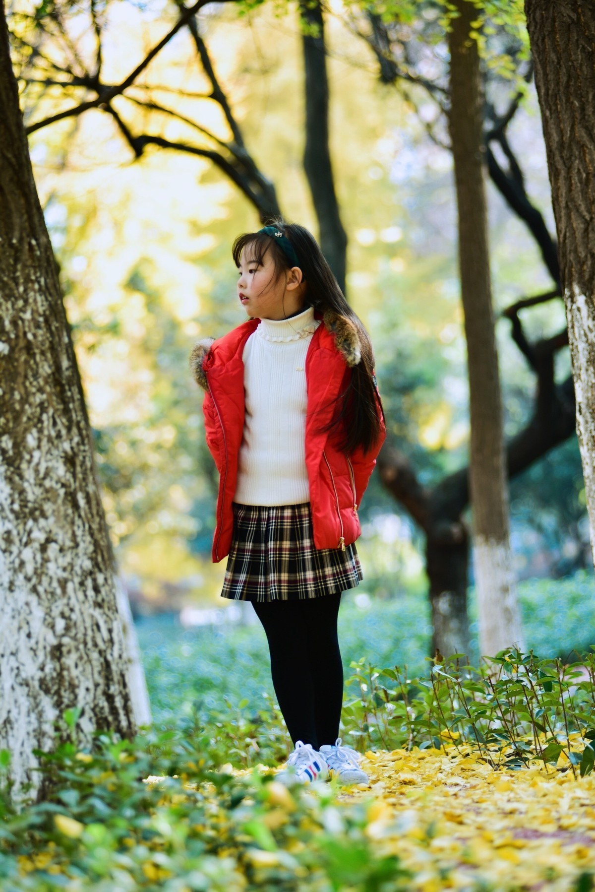 周末天气好，银杏叶也到了最美时候，赶紧给姑娘拍几张。小钢炮真的很给力。