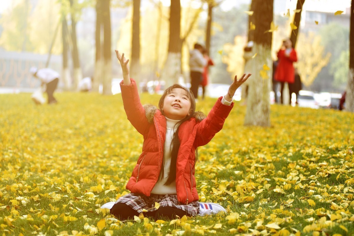 周末天气好，银杏叶也到了最美时候，赶紧给姑娘拍几张。小钢炮真的很给力。