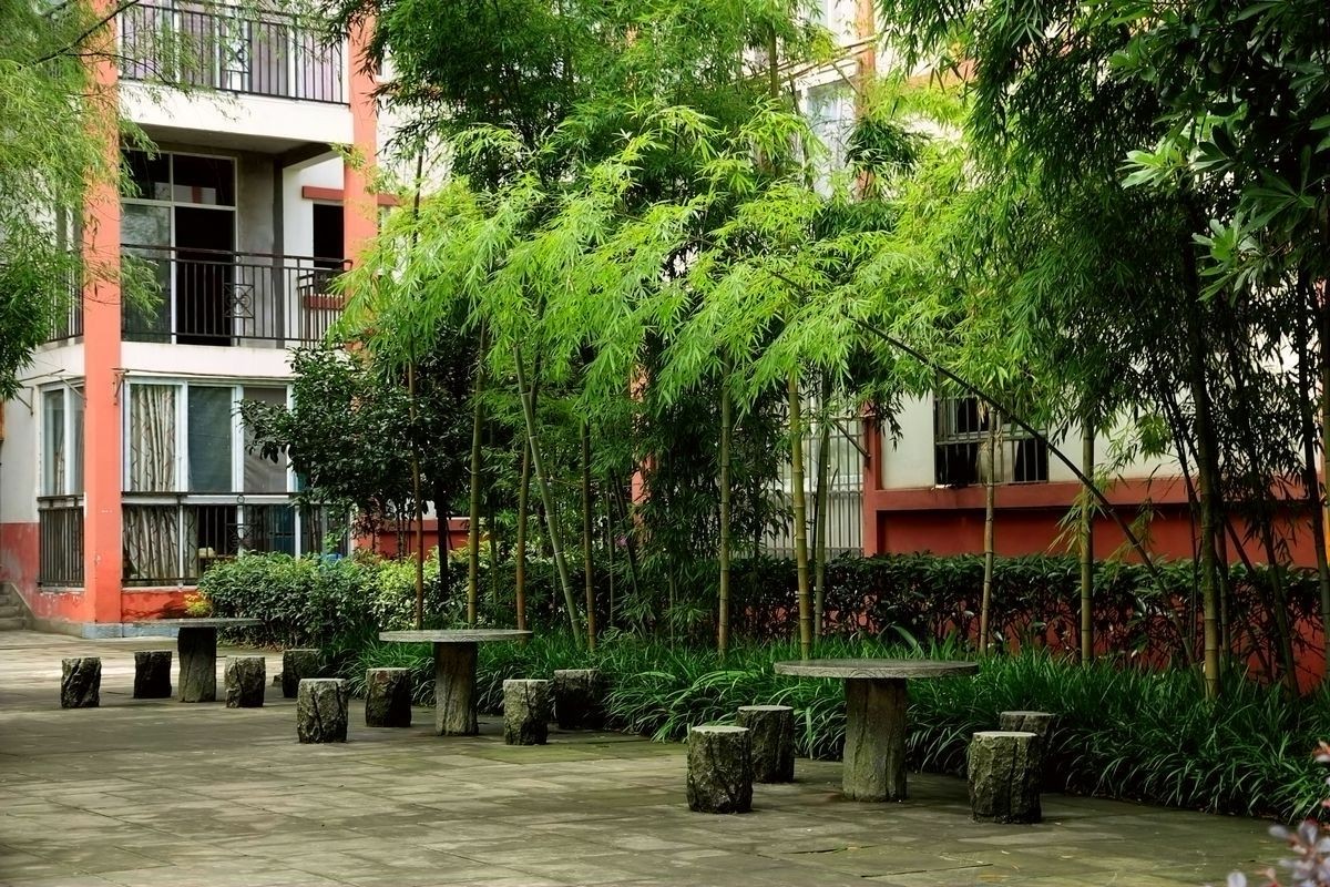 休闲游记—四面山（二）