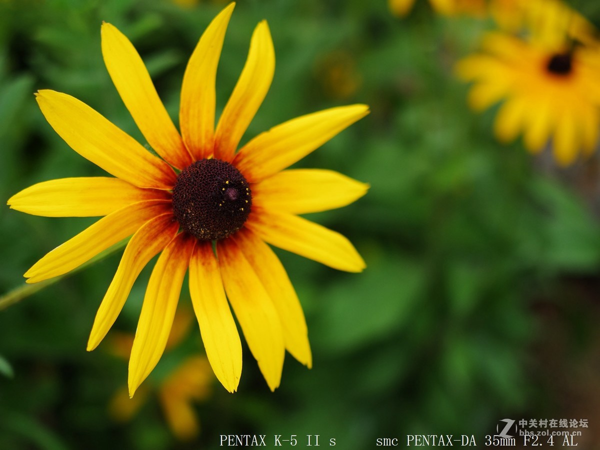 西梗莲乡乱拍几张