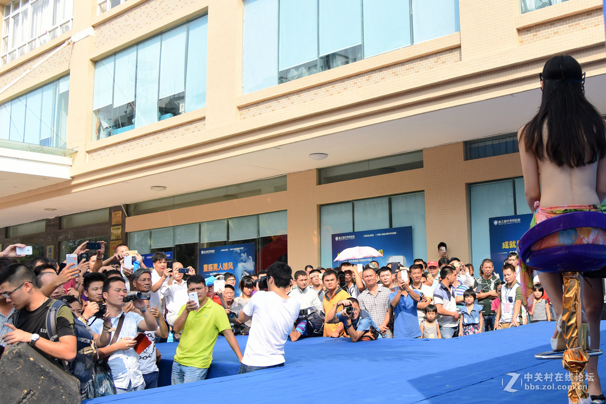 螳螂捕蝉，黄雀在后！——摄者