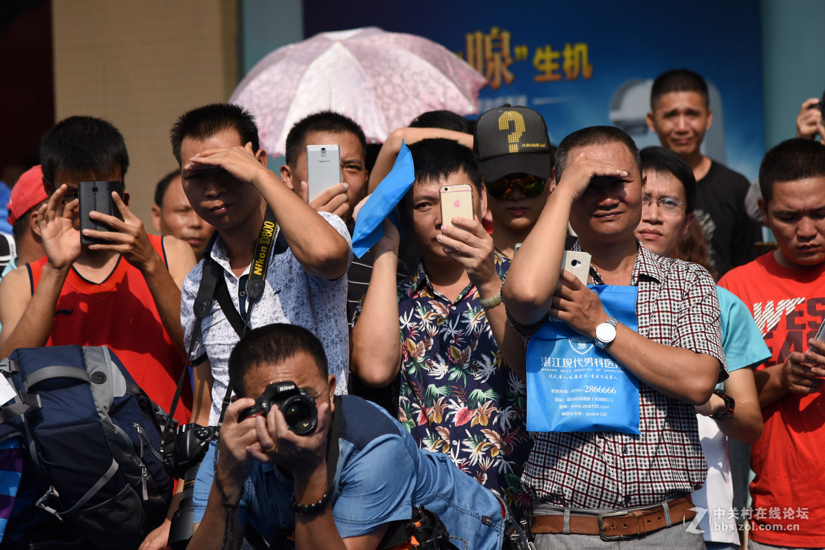 螳螂捕蝉，黄雀在后！——摄者