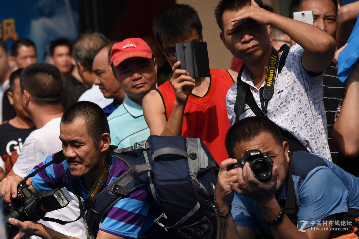 螳螂捕蝉，黄雀在后！——摄者