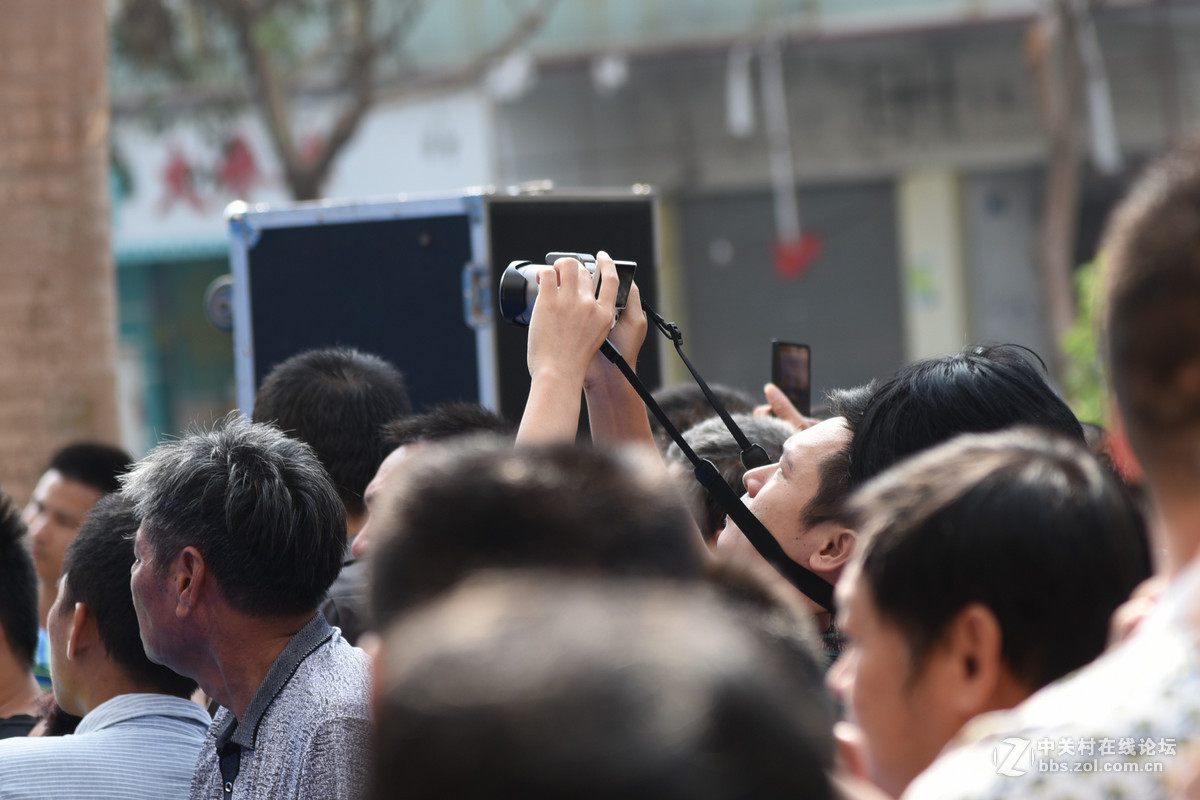 螳螂捕蝉，黄雀在后！——摄者