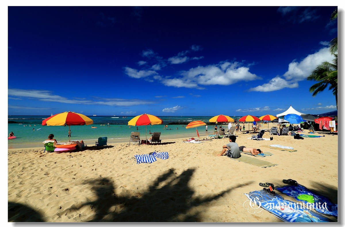 夏威夷威基基海滩风光贺好友“凡尘光影”人文纪实版履新