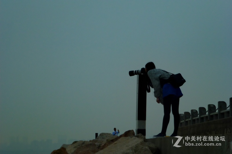 【深圳】清晨红树林观鸟