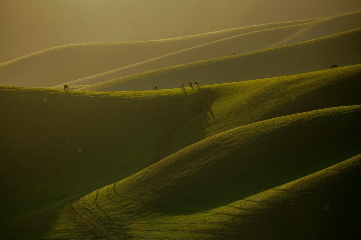 一组新疆杏花沟，祝贺红河星空(中国)开坛！恭喜华电昆明人荣任首任版主！