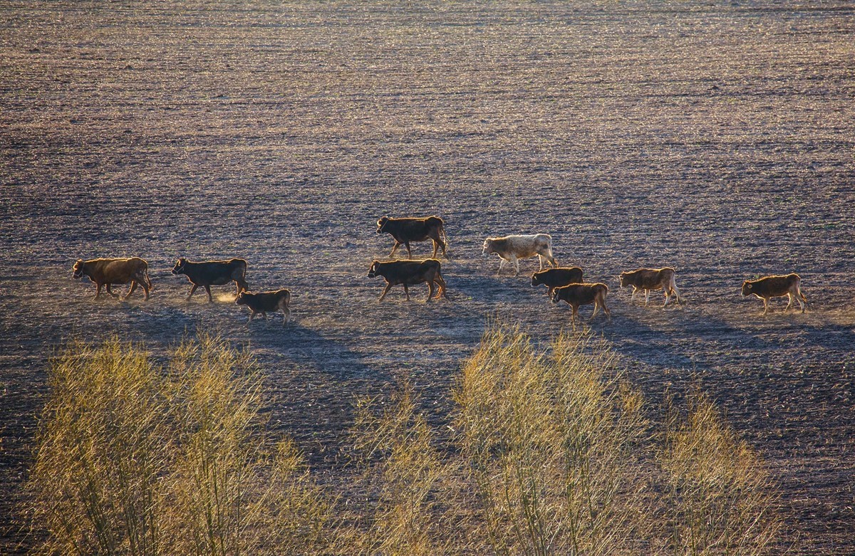 一组新疆杏花沟，祝贺红河星空(中国)开坛！恭喜华电昆明人荣任首任版主！
