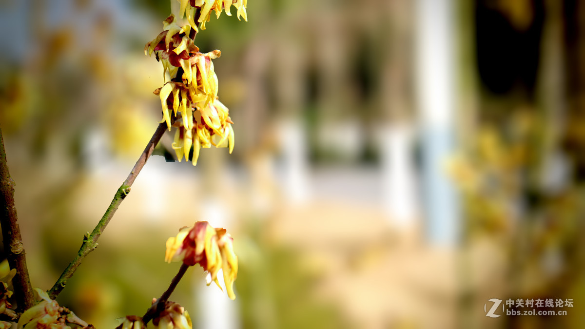 套机过年学习拍了几张