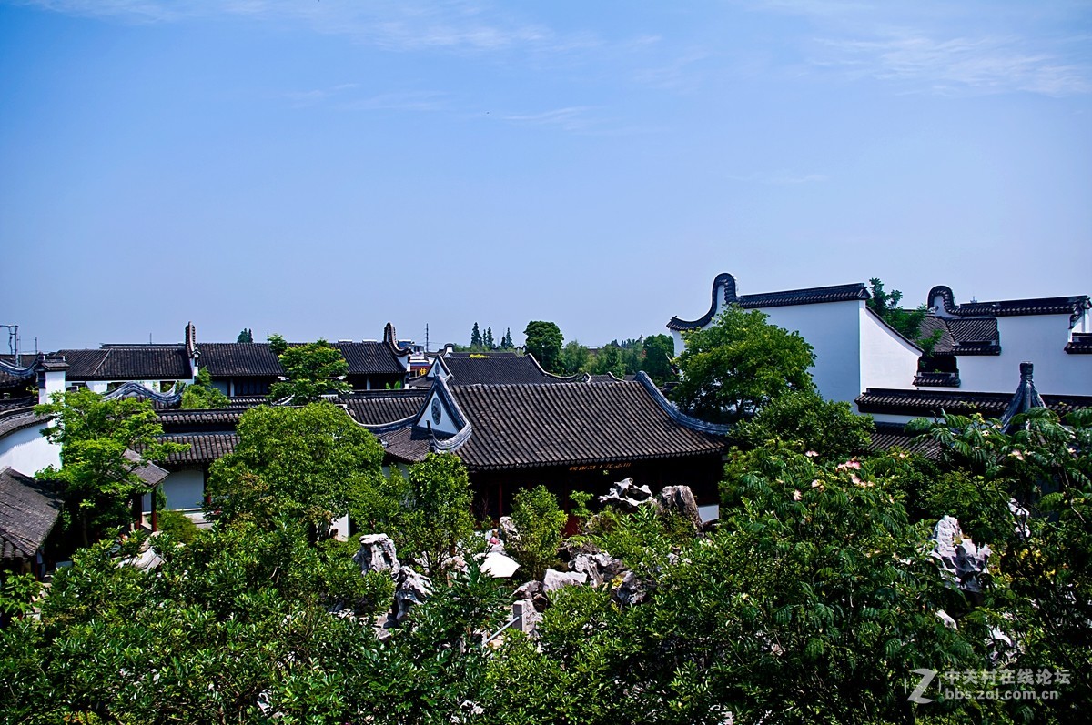 礼园随拍