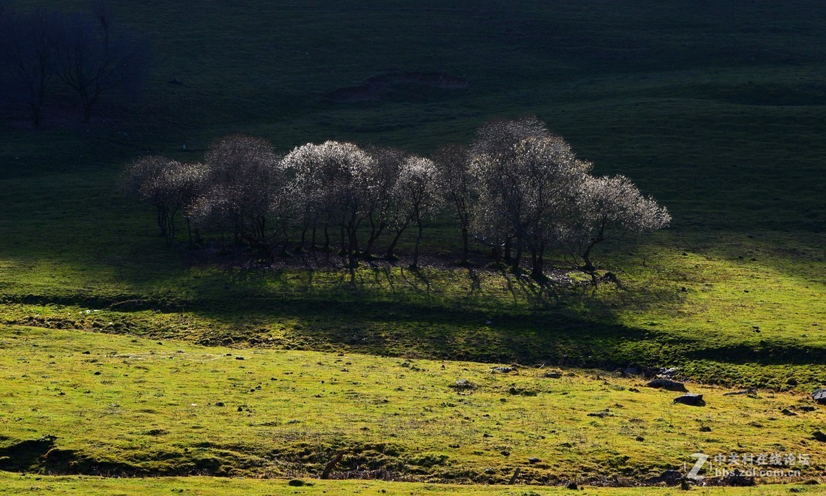 关山那个秋..........
