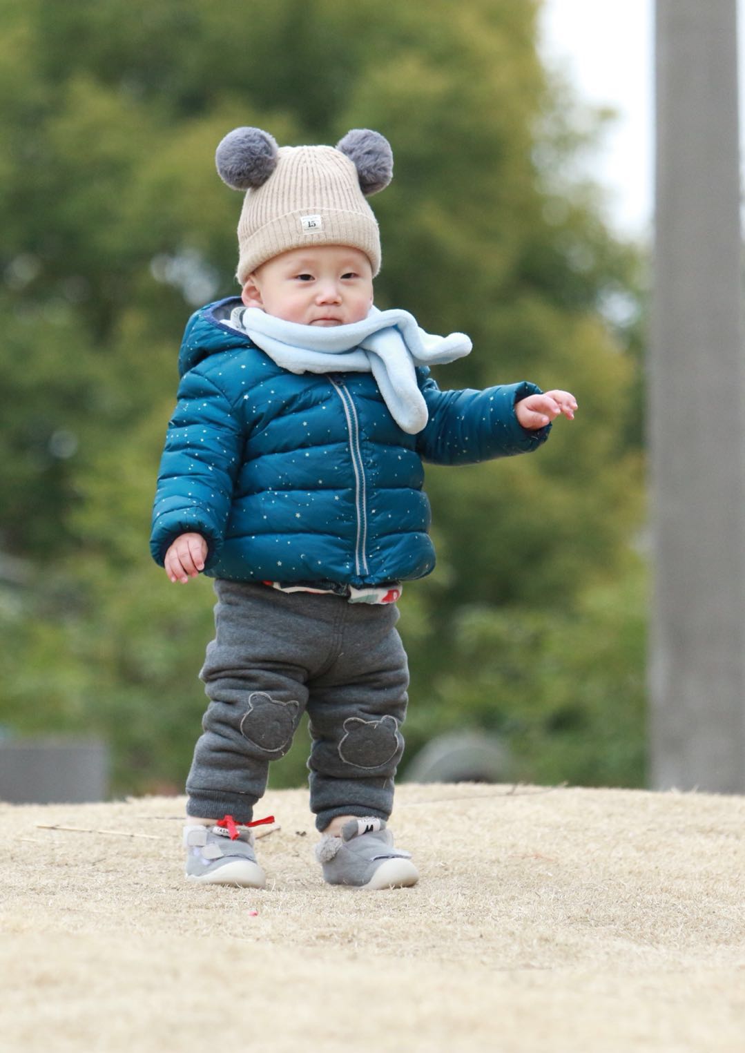 我的小侄子学走路