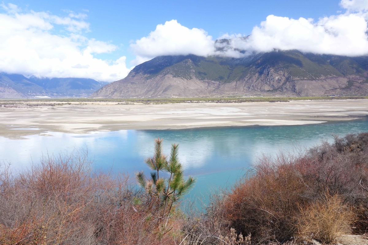 桃花时节游西藏