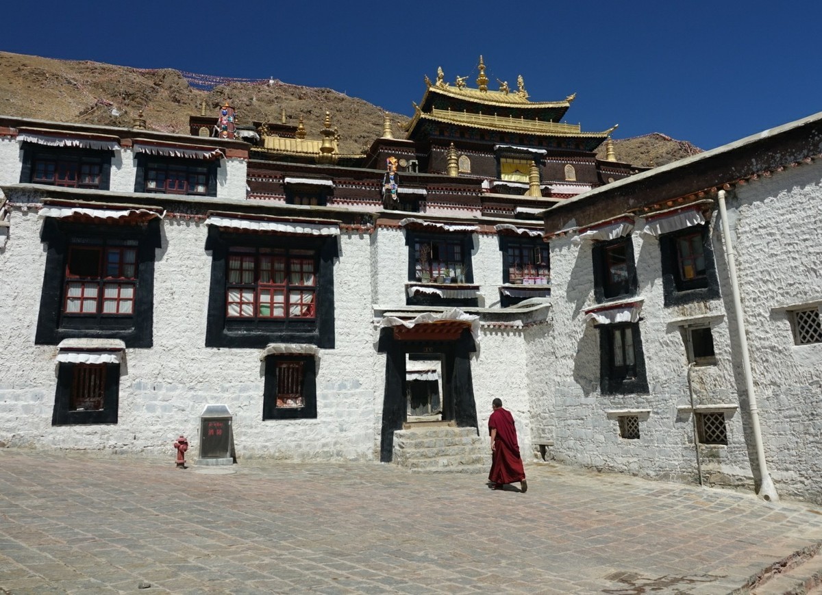 桃花时节游西藏