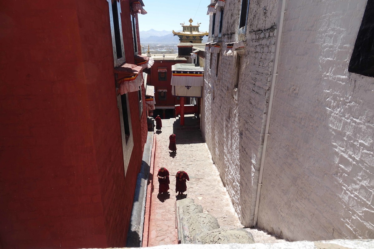 桃花时节游西藏