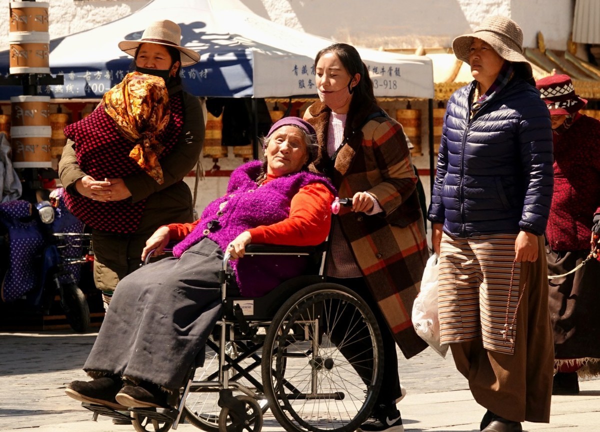 桃花时节游西藏