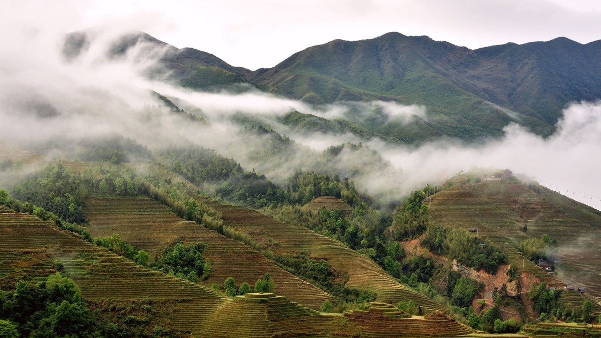 龙脊梯田