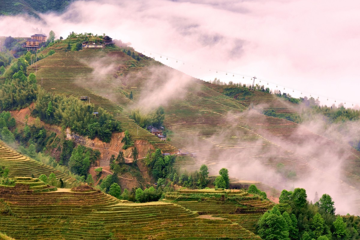 龙脊梯田