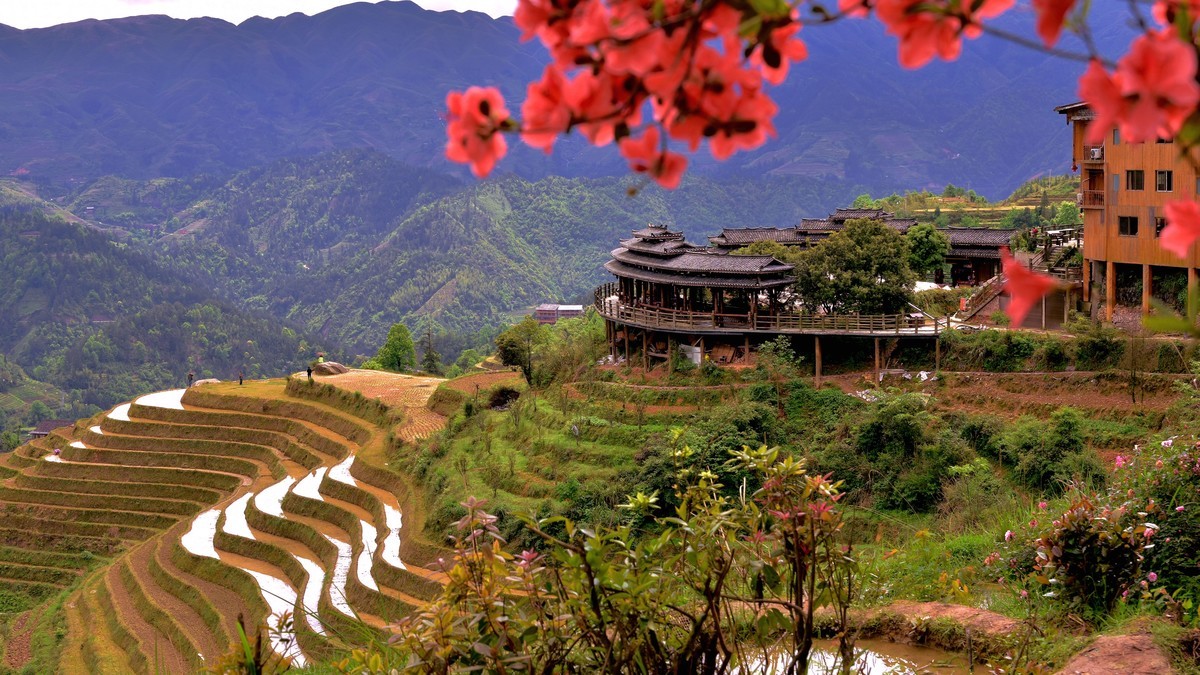龙脊梯田