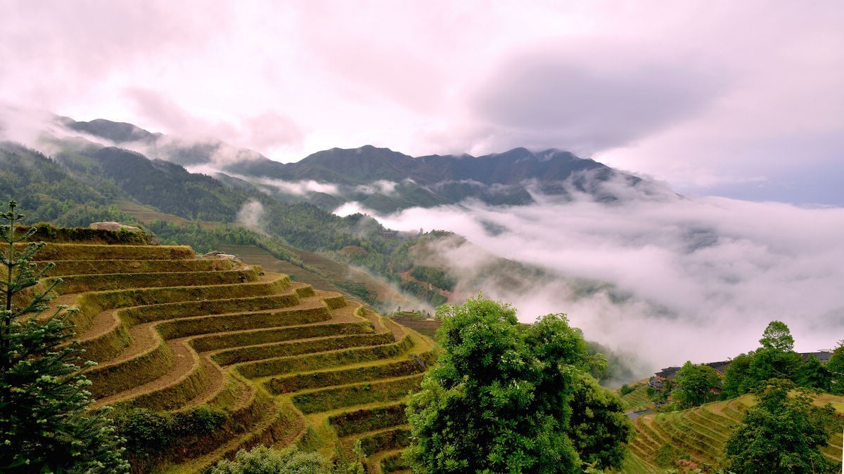 龙脊梯田
