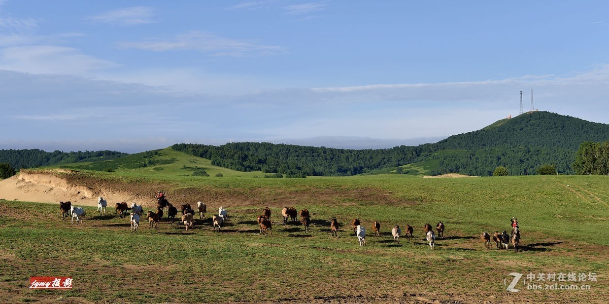 请假帖——奔驰在草原上的骏马