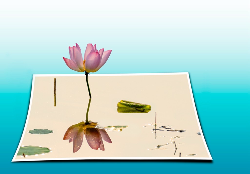 自学PS,后期制作的3D立体图片