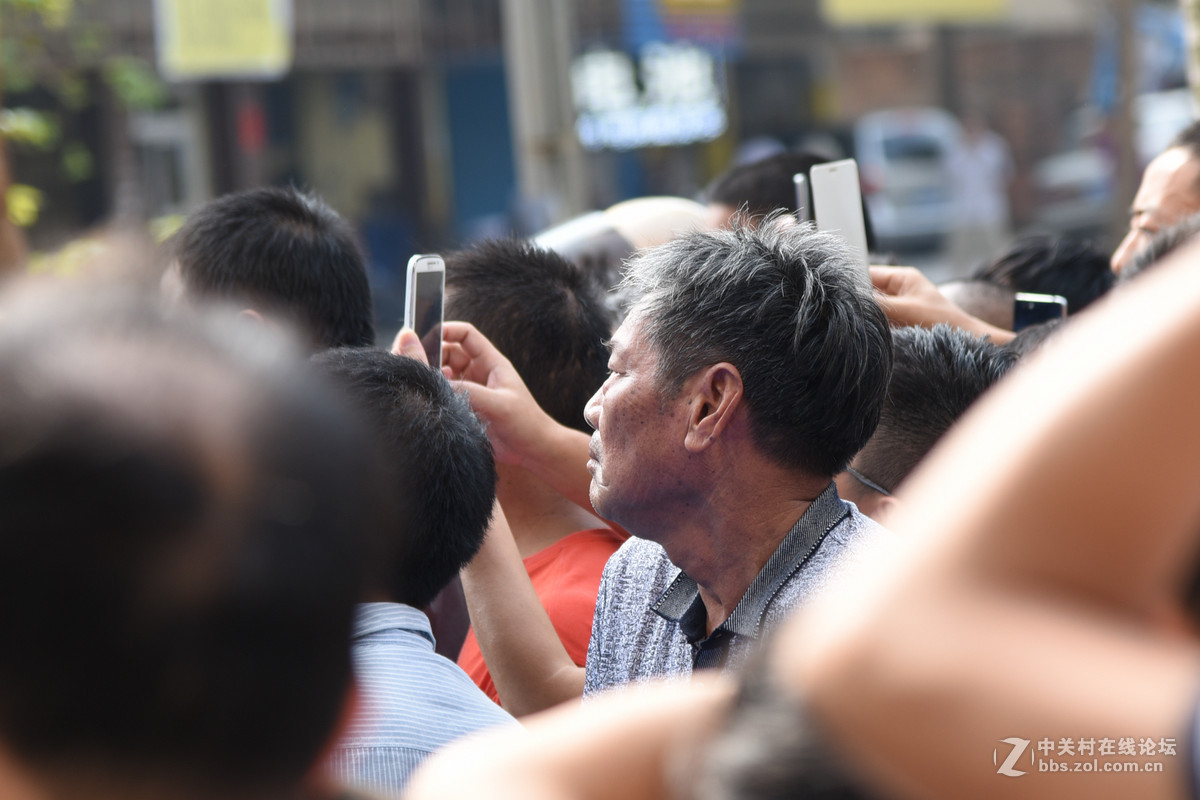 螳螂捕蝉，黄雀在后！——摄者