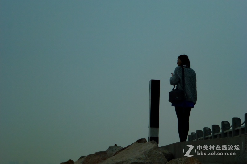 【深圳】清晨红树林观鸟