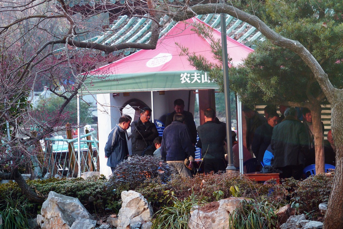 节日公园随拍。。。。。。。。。。。