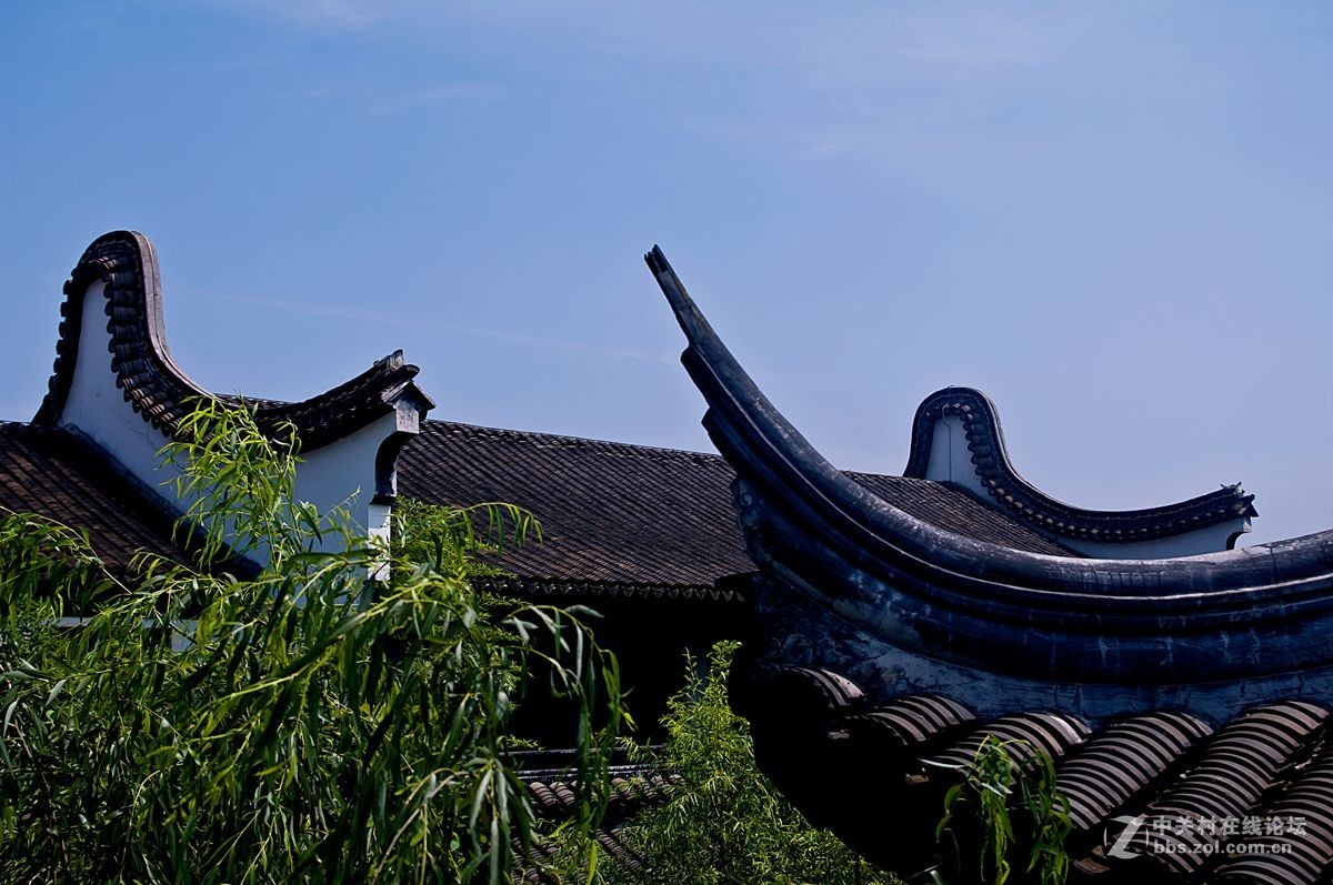 礼园随拍