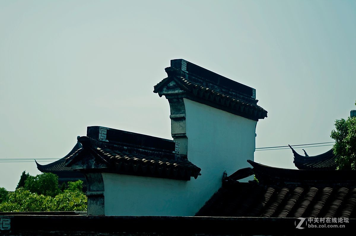 礼园随拍
