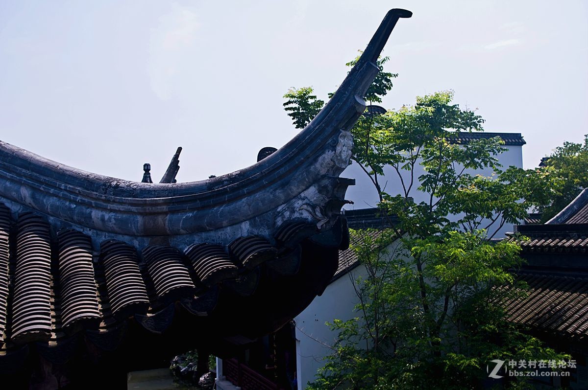 礼园随拍
